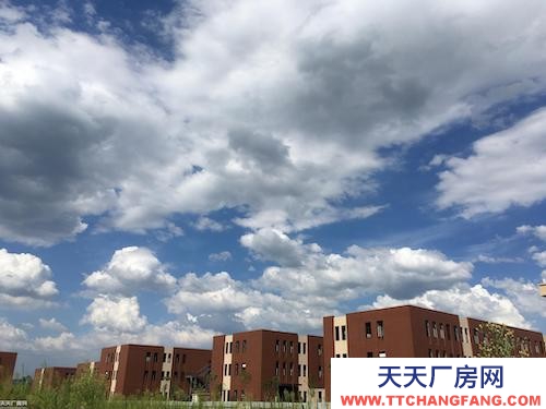 歇馬周邊獨(dú)棟標(biāo)準(zhǔn)廠房租售可過環(huán)評(píng)交通便利