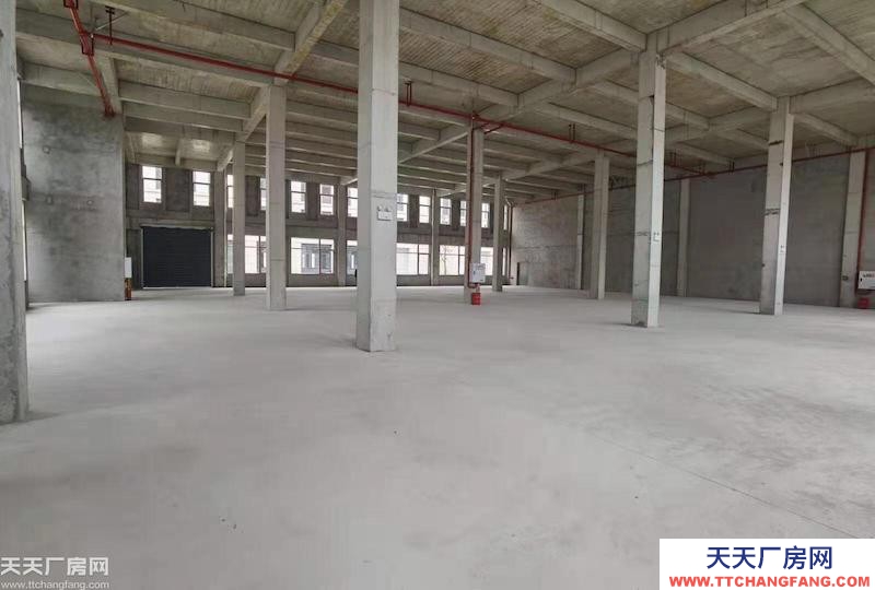 前沿科技城50年產(chǎn)權(quán)廠房，600平到5000平，可按揭