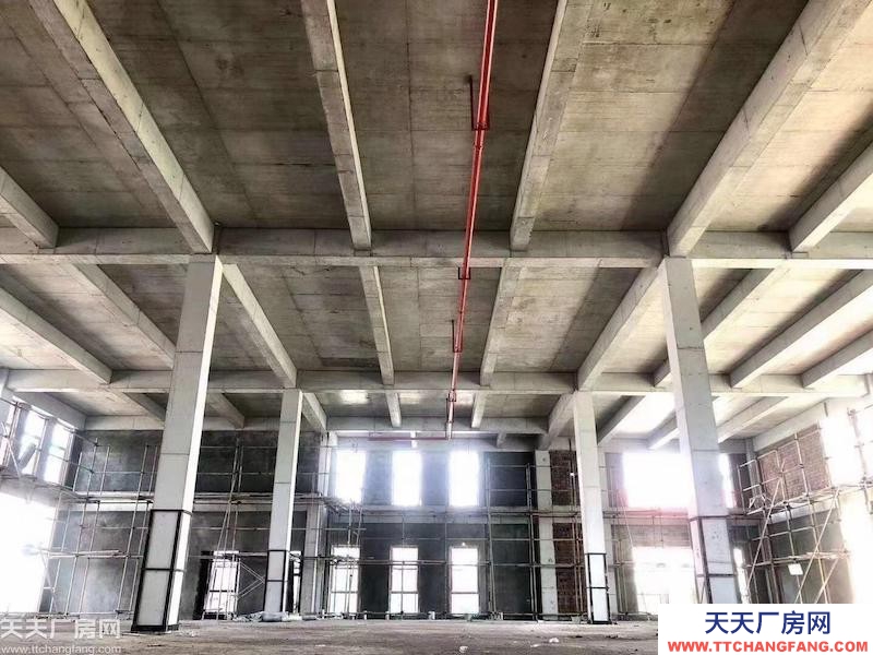 園區直招，面積600至10000平，配套完善