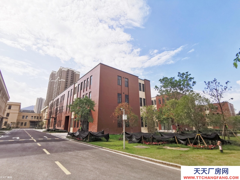 （出租）靈活小戶 獨立產權 500㎡起 標準廠房