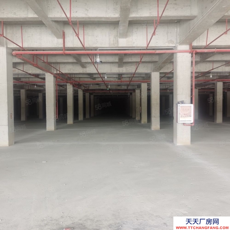 (出租)房東直租，白云區廠房出租12000平，可分租