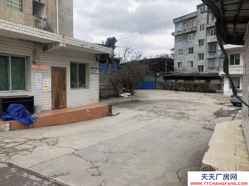 出租匯川區高橋鎮高石村廠房