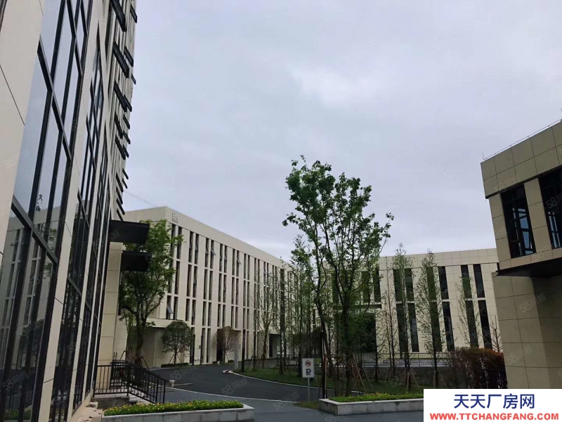 (出租) 高新區標準框架廠房，超高超長車間布局空間靈活性價比高