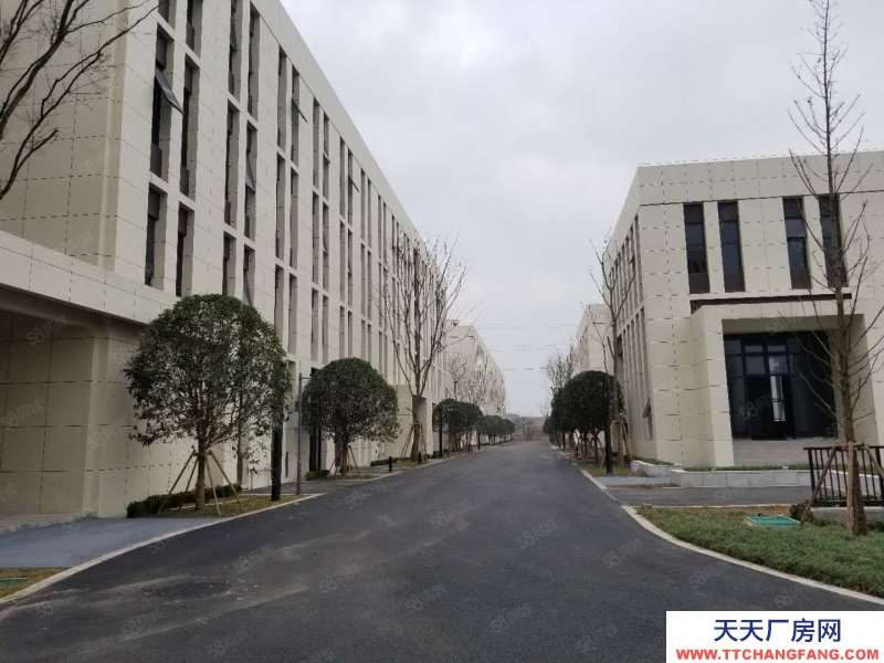 (出租) 高新區標準框架廠房，超高超長車間布局空間靈活性價比高