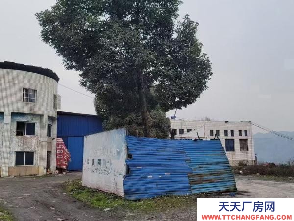 (出租) 大型廠房5000平米含26畝工業土地可改商整體租售