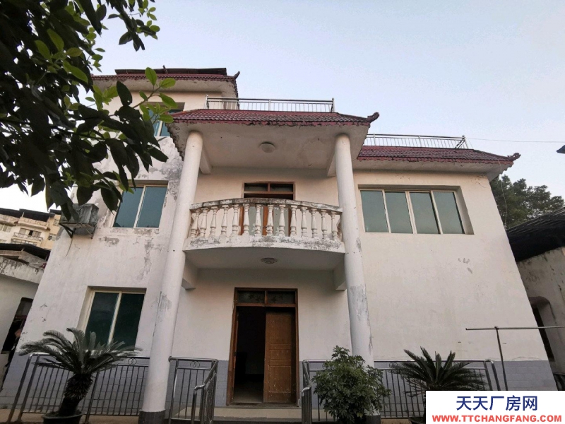 匯川東聯線馬桑臺貓貓山近郊小別墅