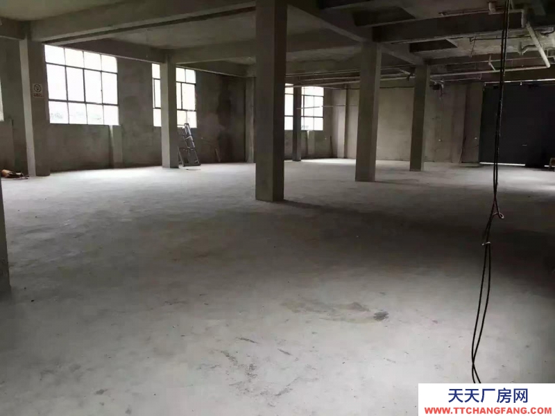 (出租) 云巖周邊 鹽沙路旁 廠房 2800平米