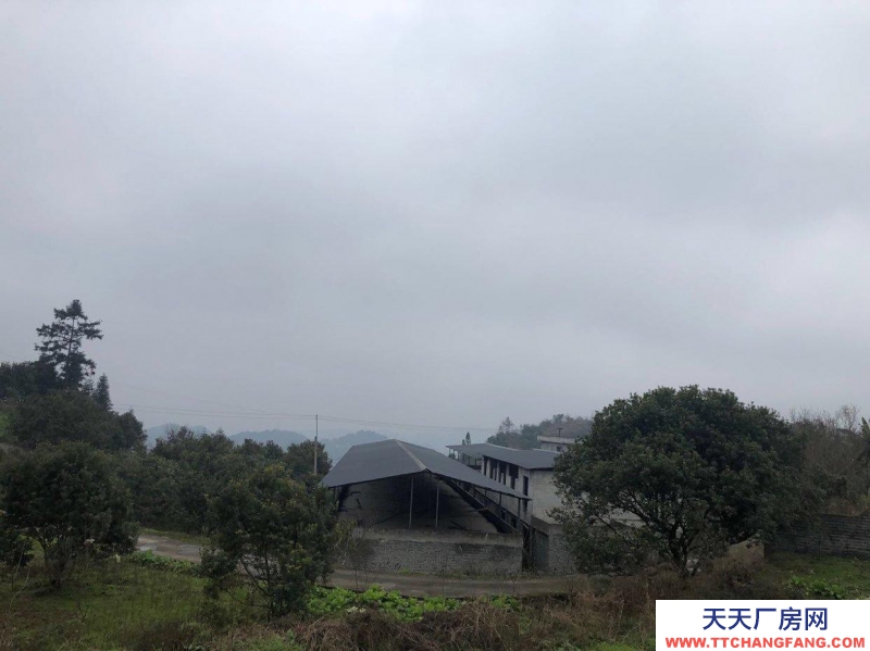 本廠房低價(jià)出售，三相電齊全，可用作養(yǎng)殖或加工