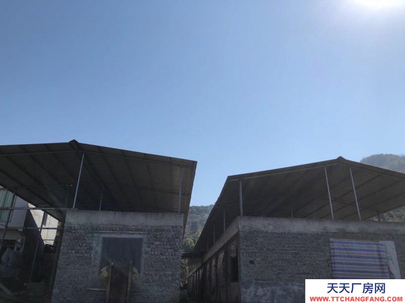 本廠房低價出售，三相電齊全，可用作養殖或加工