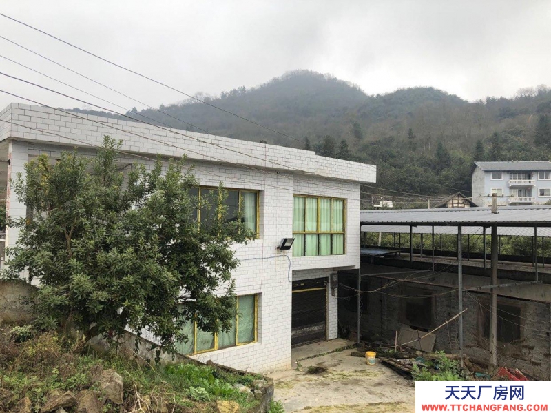 本廠房低價出售，三相電齊全，可用作養殖或加工