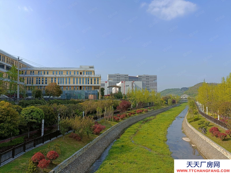 (出售) 可津森陽產業園花園式廠房，專為中小企業私人訂制，濃濃家的感覺