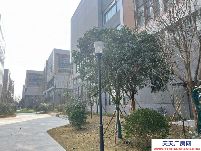 (出售) 貴陽標準廠房1200平米出售 贈送露臺