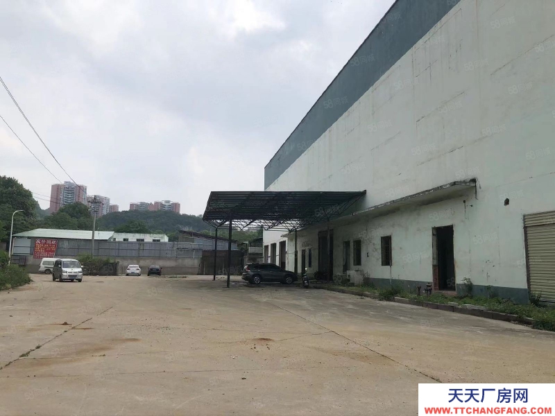 (出售) 云巖區 （沙河村）廠房出售 廠房出售 1200平330萬出售