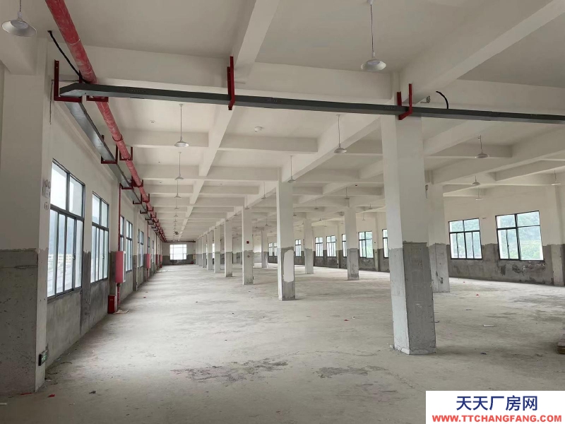 (出租) 食品工業(yè)園區(qū)，房東直租，無中介。