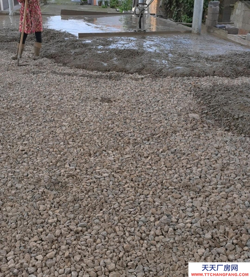 (出租) 加長拖車任意進出，地皮25公分，三箱電，水全通，可安行車