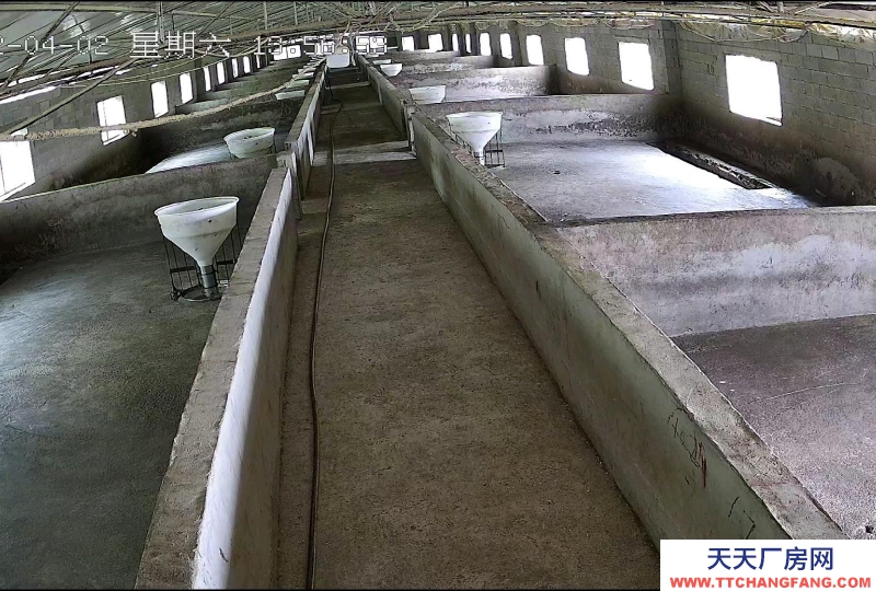 (出租) 養豬場出租，水電齊全，自己的養豬場，帶有120平米住房