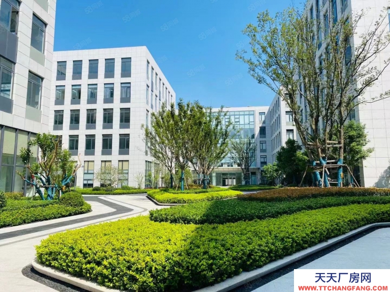 (出售) 修文（首層8.1米）標準結構廠房出售 有產權