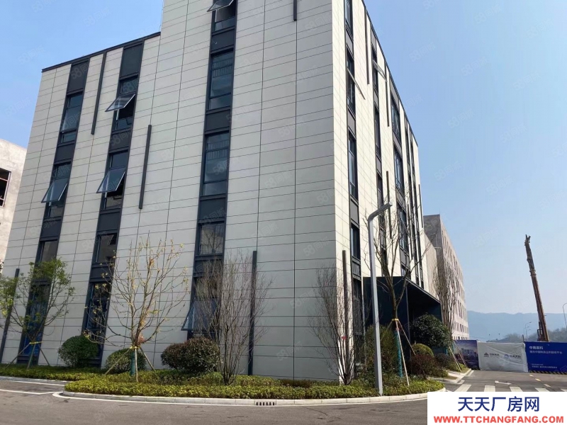 (出售) 修文（首層8.1米）標準結構廠房出售 有產權