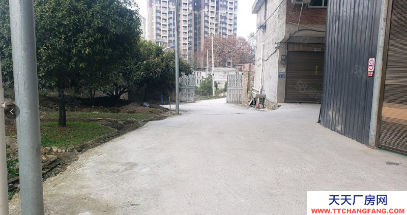 (出租) D9 177 0851 2516適合加工，倉(cāng)庫(kù)，修理廠等