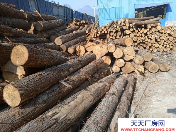 (出租) 可做木材加工，有現成設備