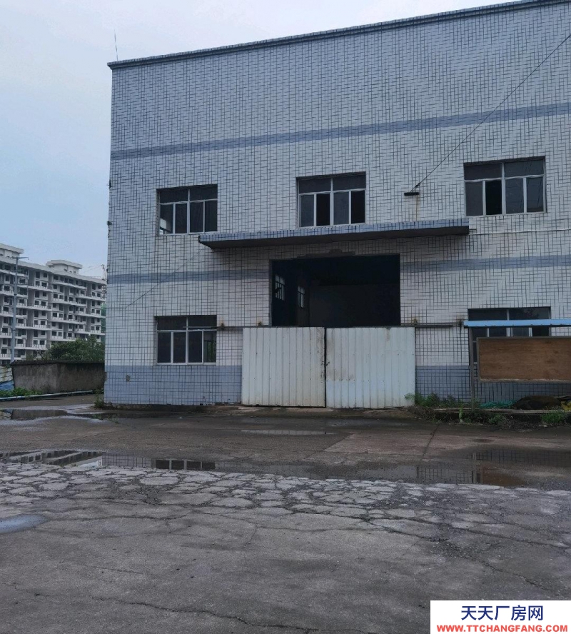 (出租) 赤水下高速路口，之前是造紙廠