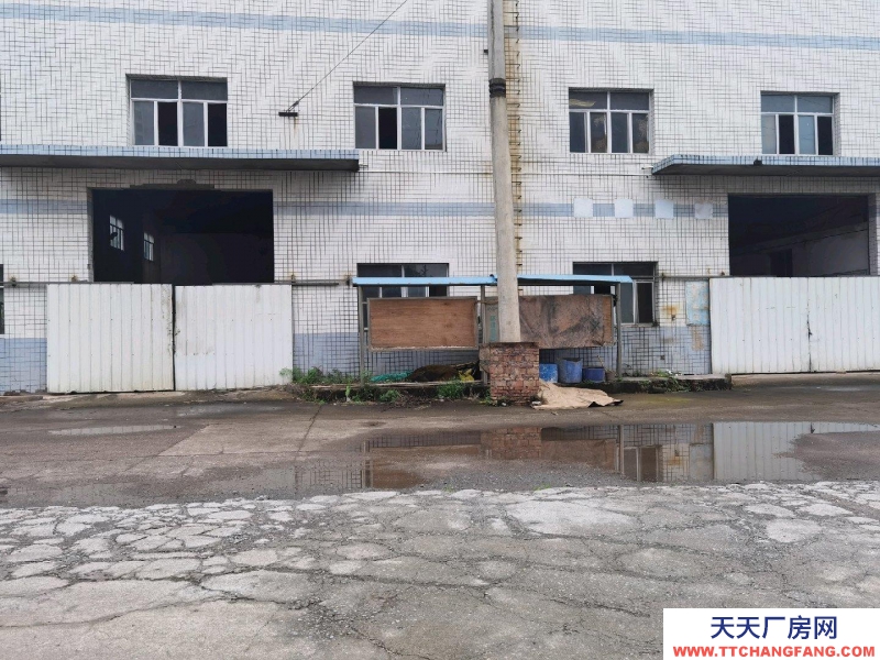 (出租) 赤水下高速路口，之前是造紙廠