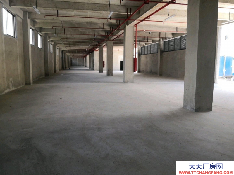 (出租) 位于深溪綠色食品產業園