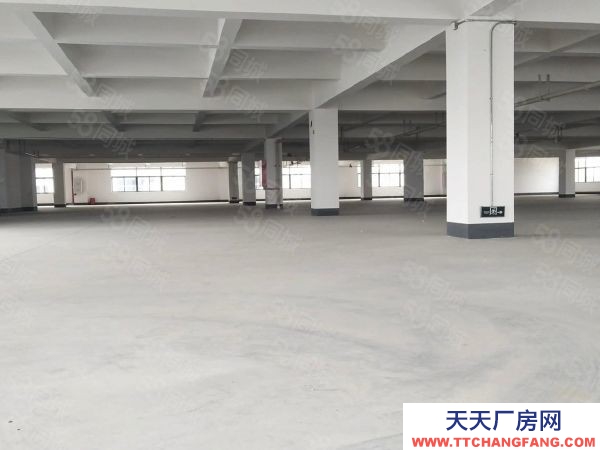 (出售) 全新獨棟雙拼花園式廠房出售生產研發辦公一體化設計