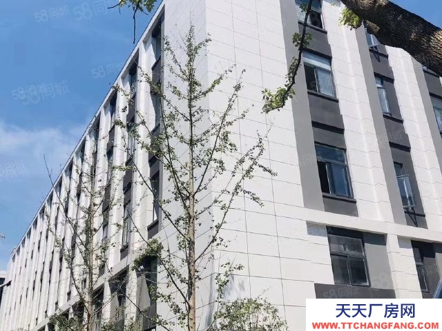 (出售) 開發(fā)商直售，即買即享受優(yōu)惠政策