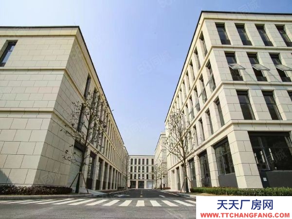 (首層8.1米)標準結構廠房出售 有產權,可首付