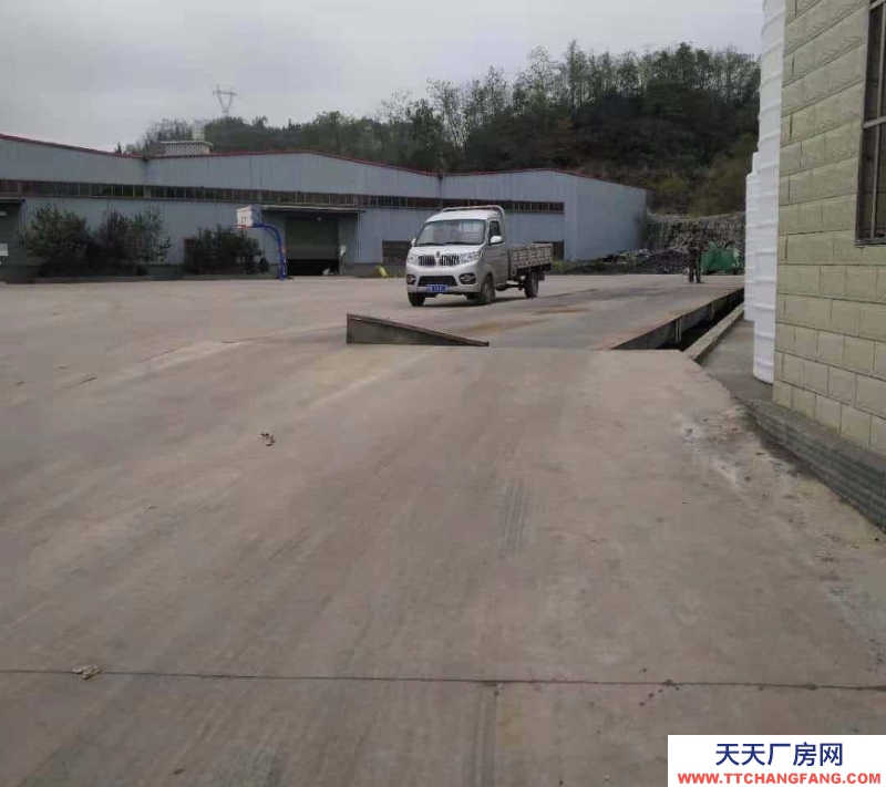 (出租) 鐘山月照廠房可分組價(jià)格面談