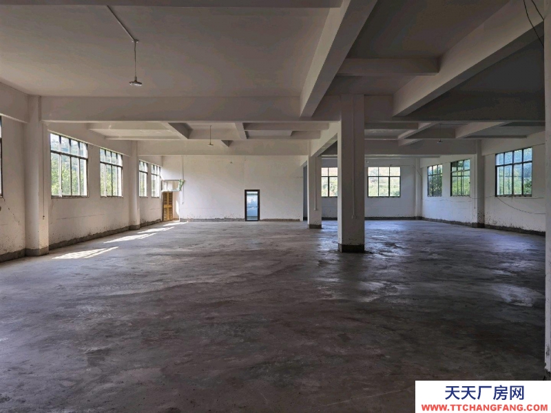 (出租) 一樓600平方，二樓500平方，可分租