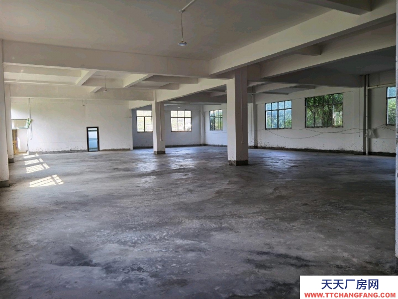 (出租) 一樓600平方，二樓500平方，可分租