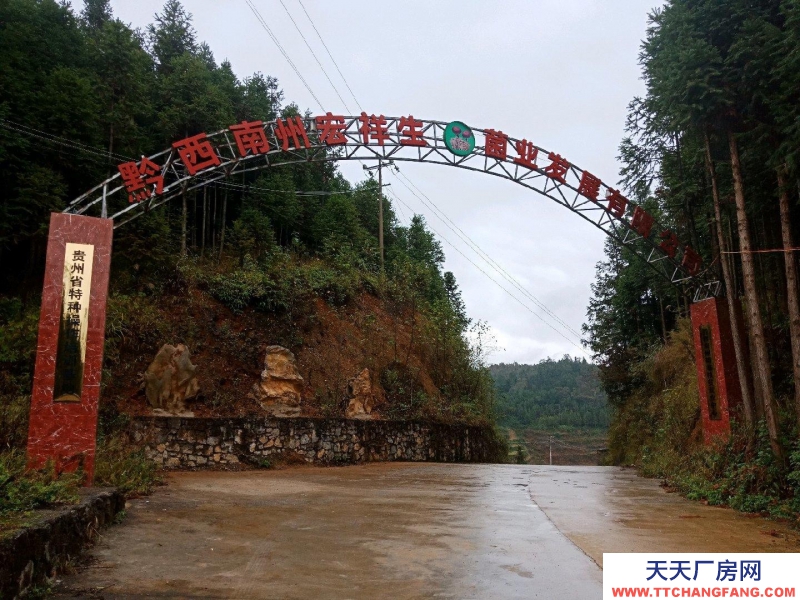 (出租) 本場地可規模養殖牛，農產品加工，房內可建冷庫及食用菌加工房