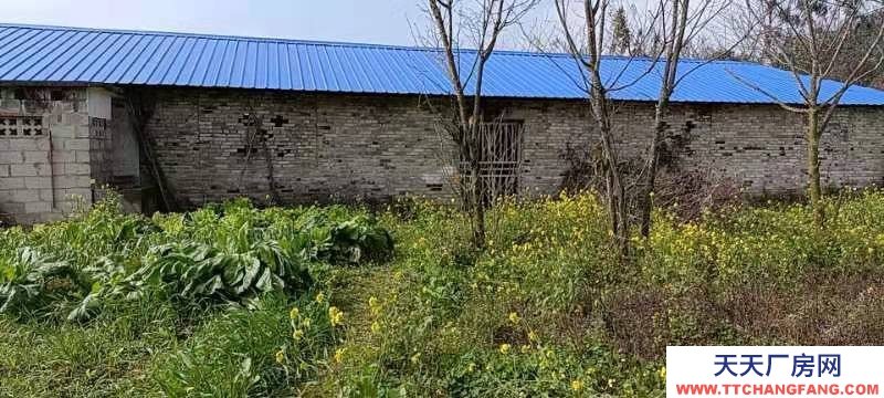 (出租) 貴州貞豐大碑鄉者寸組沿公路廠房住房和場地出租