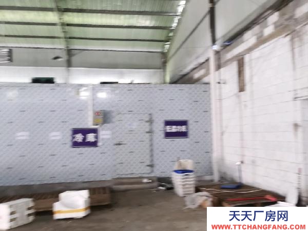 (出售) 交通局便利，自來水，三相動力電直通廠房