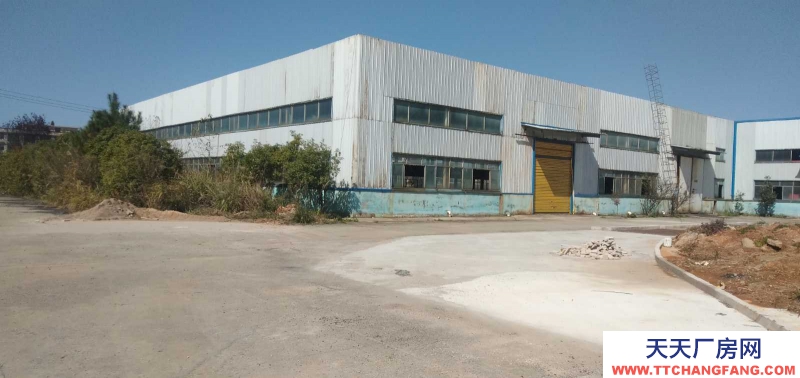 3100平米鋼構廠房倉庫招租