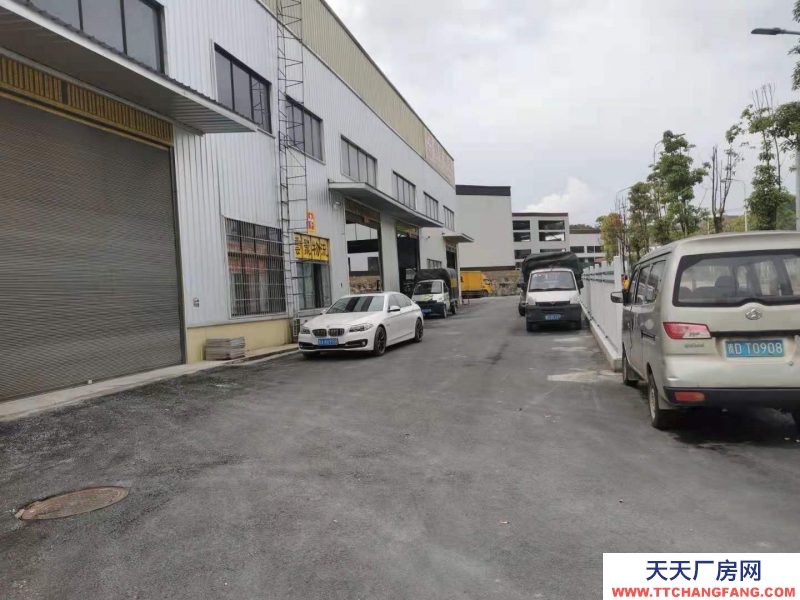 主干道邊，高12米，可賣500或1000平米。