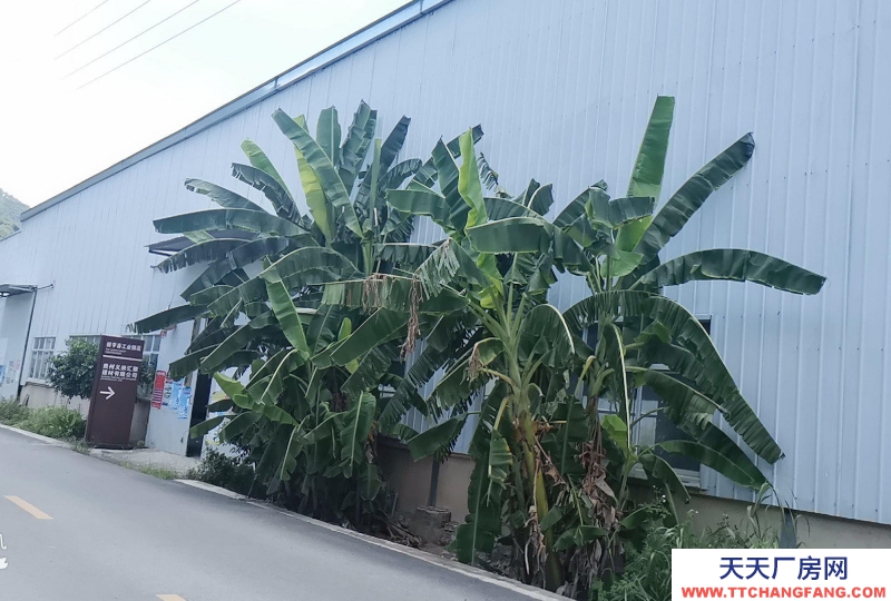 生產廠房出租出售,價格可談