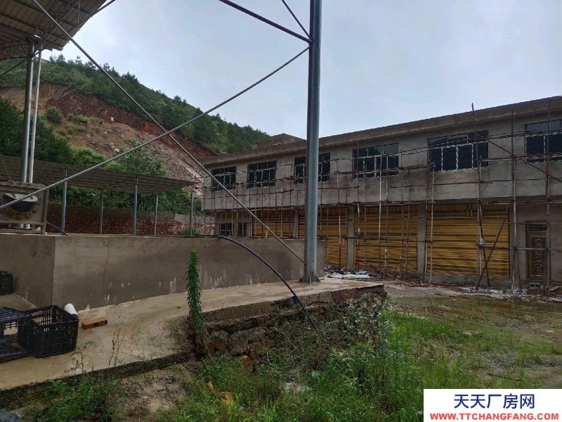 (出售) 鄉村振興好地方，涉農項目建新房