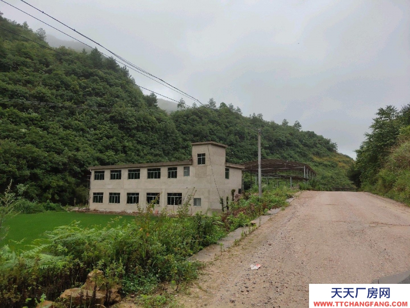 (出售) 鄉村振興好地方，涉農項目建新房