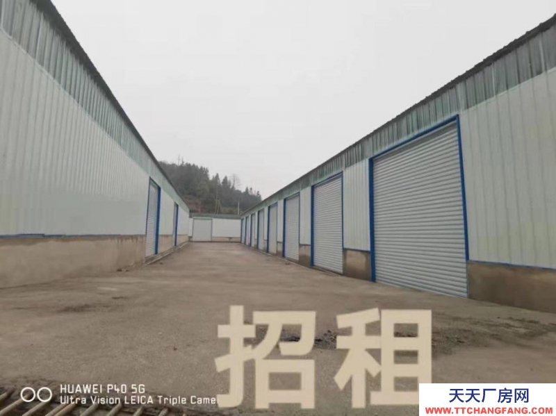 (出租) 都勻沙壩新建標(biāo)準(zhǔn)倉儲(chǔ)，交通便利