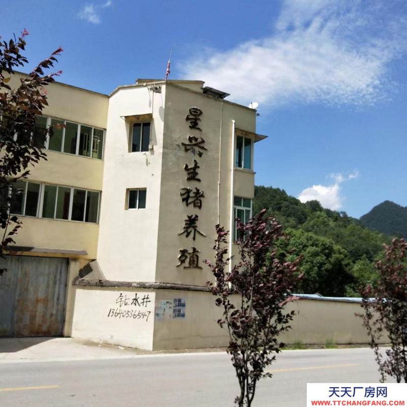 (出租) 出租臺江縣臺盤鄉公路邊