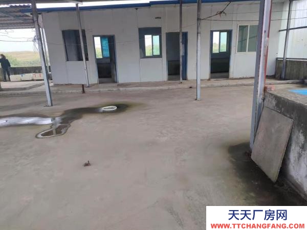 (出租) 歡喜嶺村自家自建廠房出租