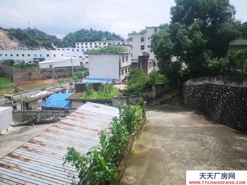 價格實惠，環境好，視野廣闊，適合做倉庫，辦公，各種企業生產。