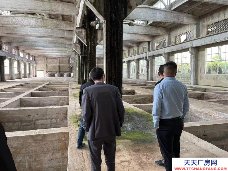 (出租) 老酒廠 可收購可合作可租用