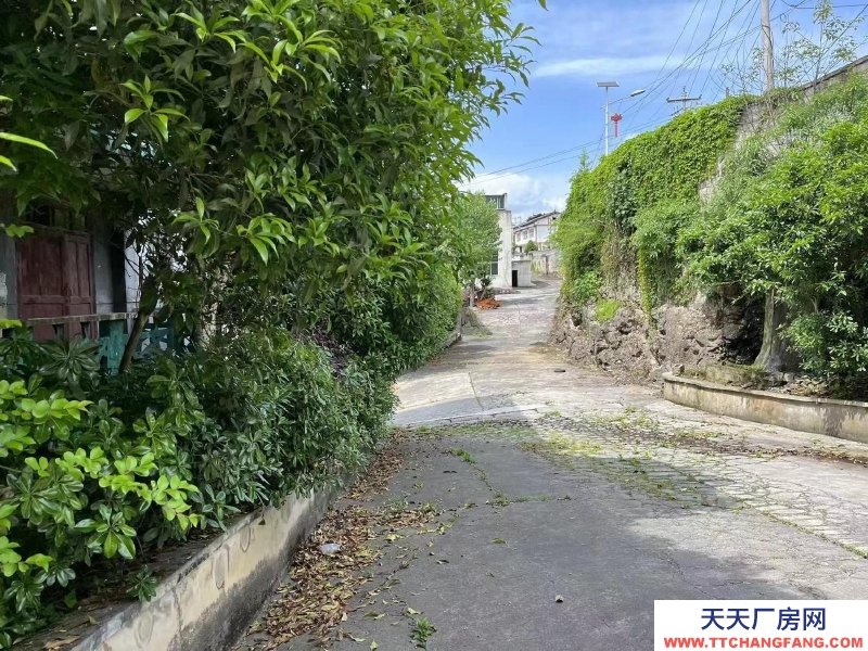 (出租) 老酒廠 可收購可合作可租用