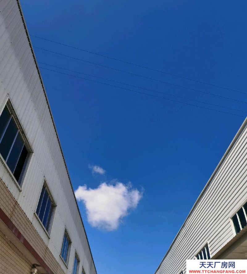 土地面積7129，建筑面積5000平方，帶不動產證