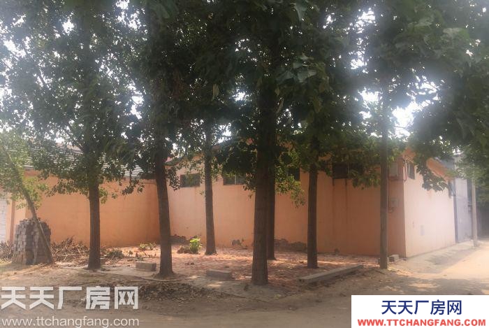 濟南歷城周邊?省道旁?廠房?800平米?倉庫干凈?可生產(chǎn)