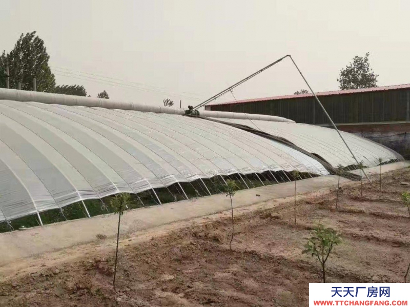 石家莊長安溫室大棚,果樹園,羊圈牛棚雞舍等